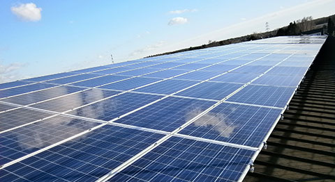 Photovoltaikanlage des Sägewerk Buchen für Produkte mit einer positiven Energiebilanz